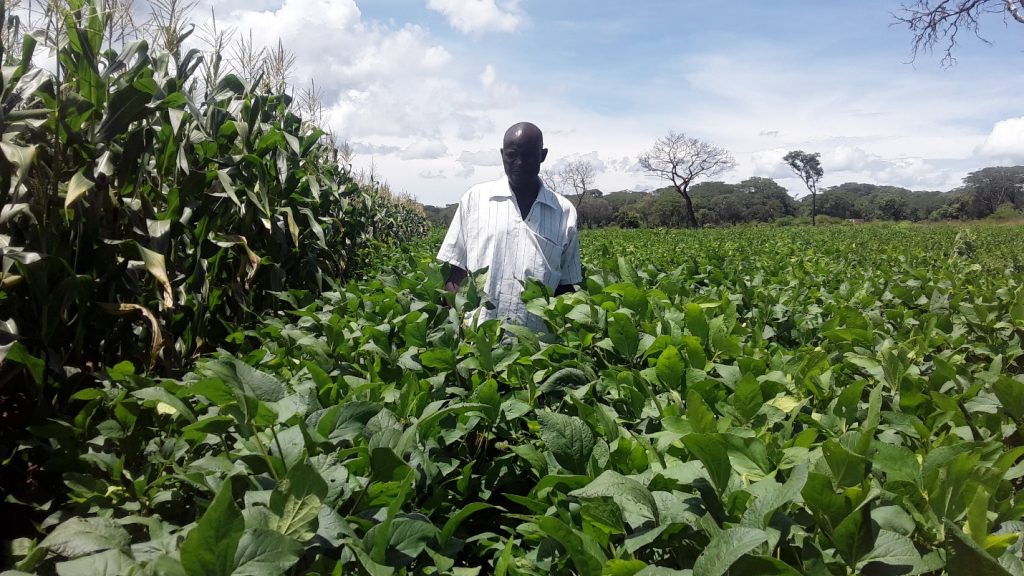 Steward Siapapala | Conservation Farming Unit (CFU)