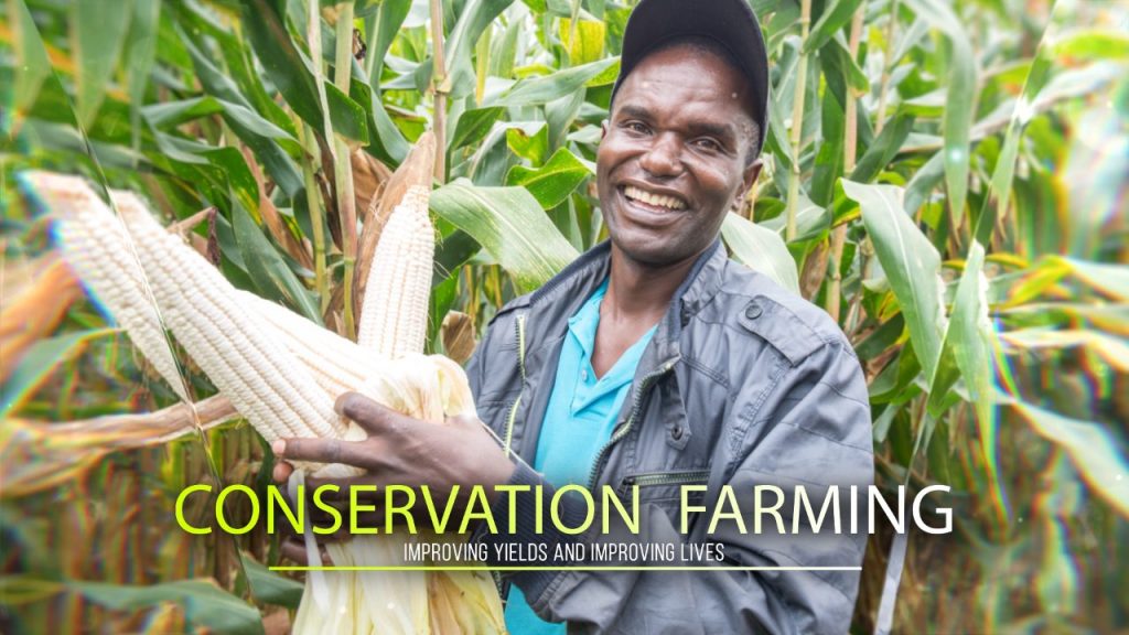 Cephas Mubanga | Conservation Farming Unit (CFU)